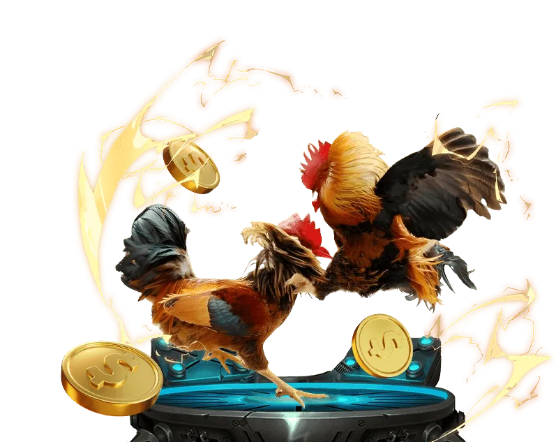 Cam kết của vibet với khách hàng